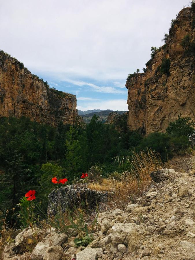 Casa Cervantes Αλάμα ντε Γρανάδα Εξωτερικό φωτογραφία